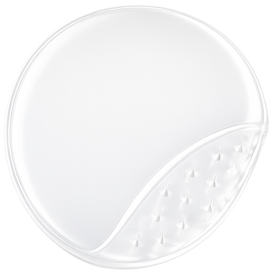 MICRONEEDLE PATCH